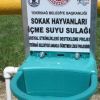 DİKKAT! SOKAKTA HAYAT VAR!
