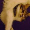 DSC07488