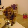 DSC07442 DSC07442
