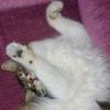 DSC07466 DSC07466