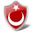 'nin/nın Resmi