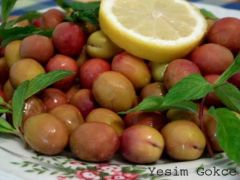 Yeşil Zeytin