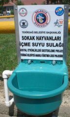 DİKKAT! SOKAKTA HAYAT VAR!