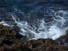 DSC08366