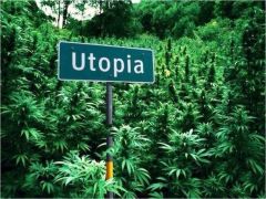 Utopia