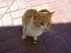 DSC08400