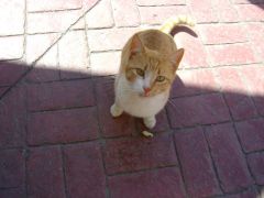DSC08399
