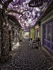 Molyvos, Lesvos, Greece