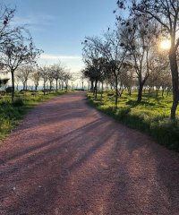 İnciraltı Kent Ormanı