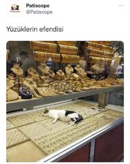 Yüzüklerin efendisi