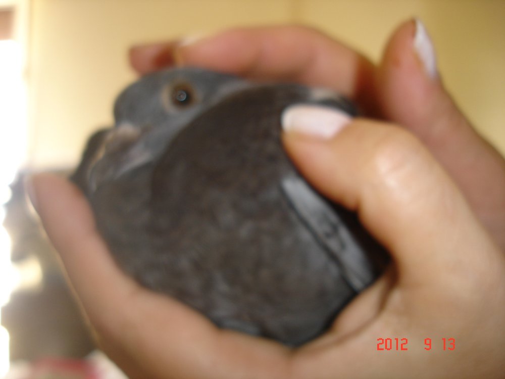 blog-0189701001347649876.jpg