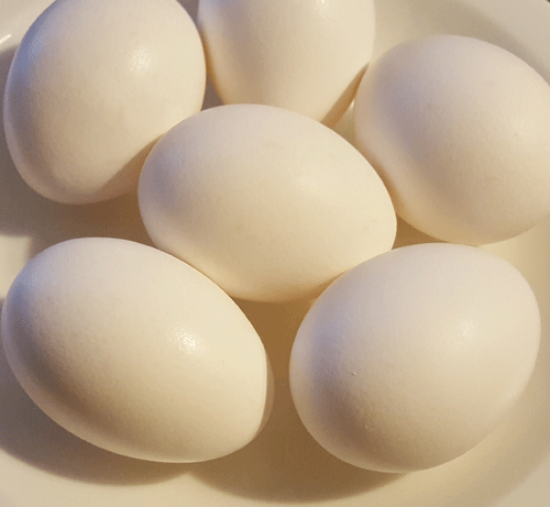 Yumurta Yemenin 15 Faydası