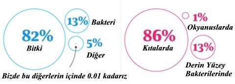 Doğanın Sadece% 0.01'ini Oluşturuyoruz (İnsanlar), Ancak Vahşi Memelilerin% 83'ünü Yok Etmişiz - Araştırma Böyle Söylüyor