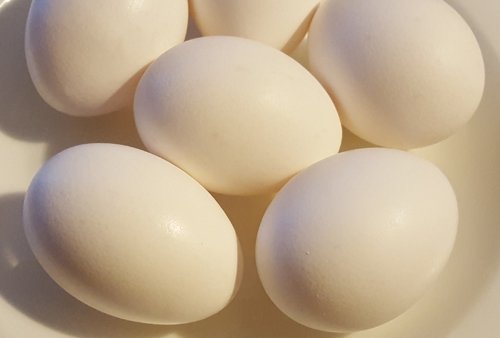 İşte Size Yumurtanın Neden Yiyebileceğiniz En İyi Şeylerden Biri Olduğunu Açıklayan Makale