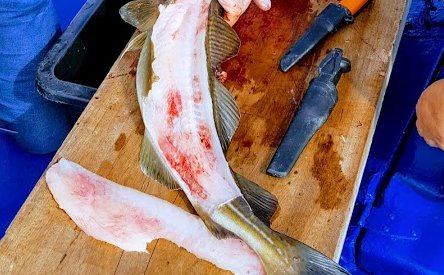 Deniz Ürünleri Sorumluluk Duyarak Nasıl Yenir: Şef Eric Ripert'in Önerileri