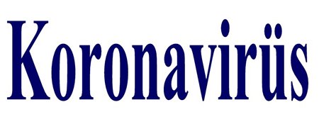 Koronavirüs aşısı bulunsa bile virüs gitmeyebilir