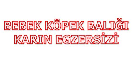 Bebek Köpekbalığı Ab / Karın Egzersizi Gerçekten İşe Yarıyor