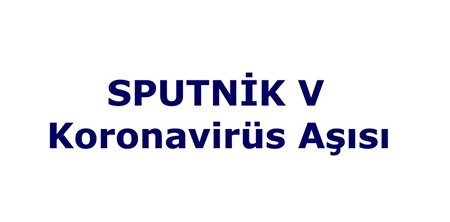 Bilim İnsanları Rusya'nın 'Sputnik V' koronavirüs aşısının güvenli ve etkili olup olmadığından endişeleniyor