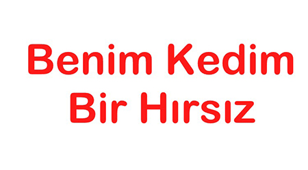 Benim Kedim Bir Hırsız