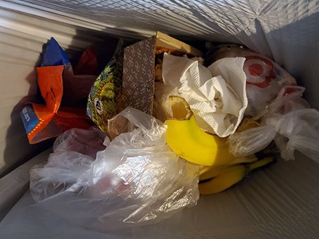 'Jeneratör' Plastik Çöpü Yenilebilir Proteine Dönüştürüyor