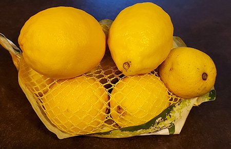 Tohumdan / Çekirdekten Limon Nasıl Yetiştirilir