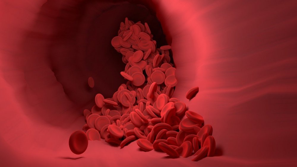 red-blood-cell-4256710.jpg