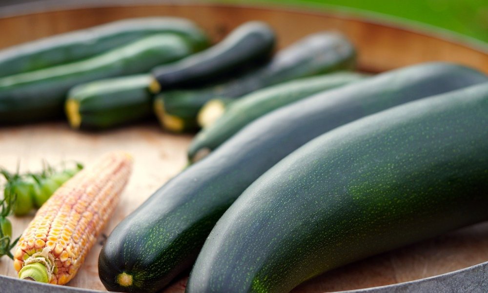 zucchini-6583886.jpg