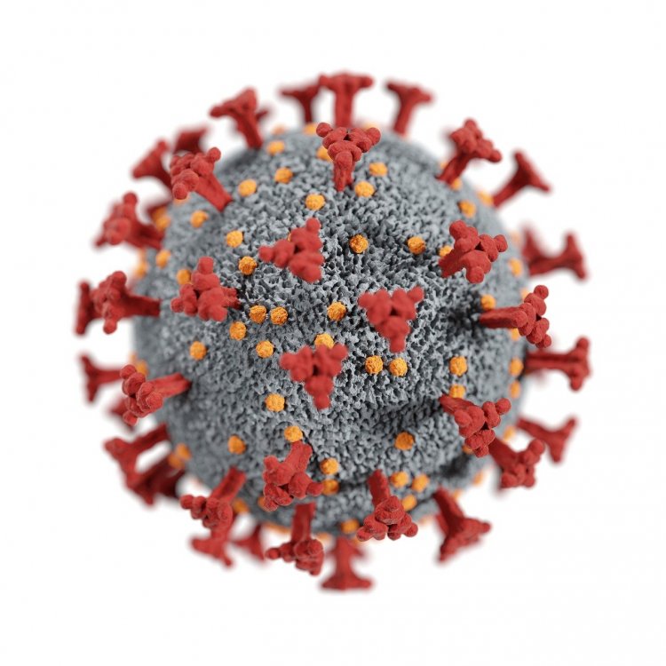 coronavirus-6627306.jpg