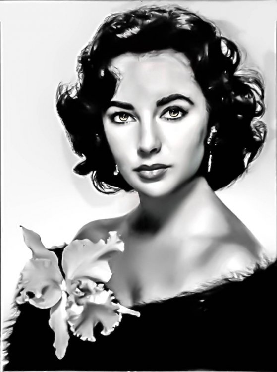 elizabeth-taylor-hollywood-1259553.jpg
