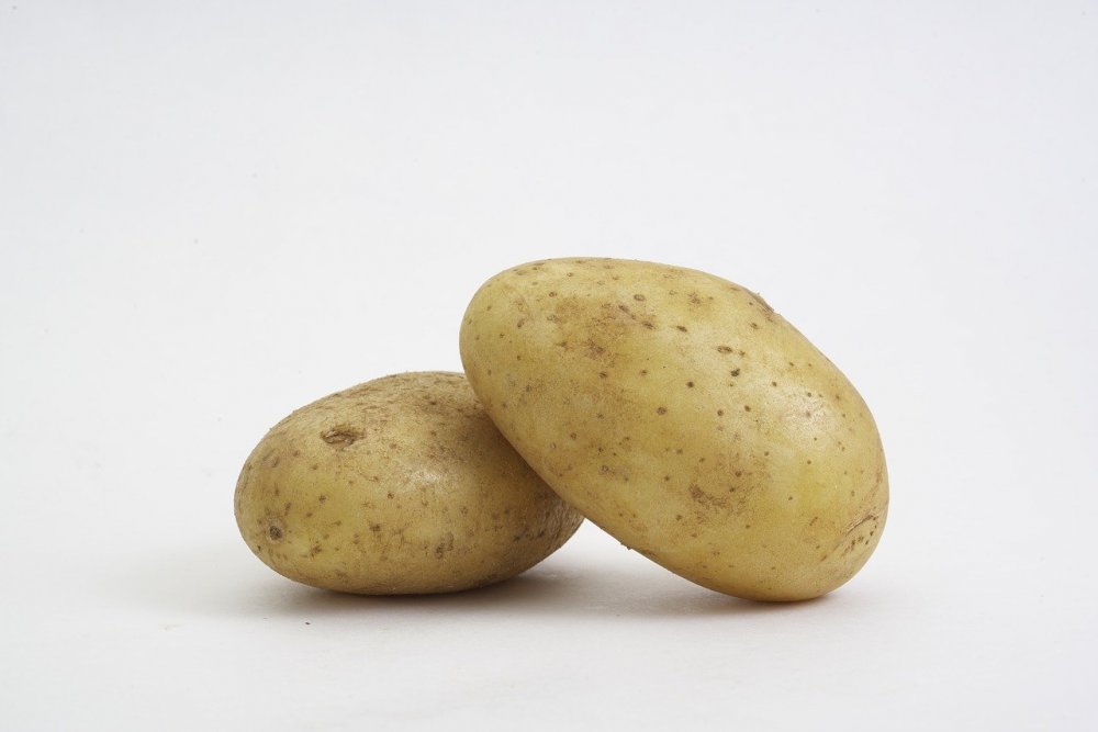 potato-3859166.jpg