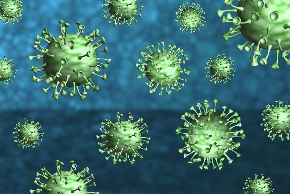 coronavirus-4958989.jpg