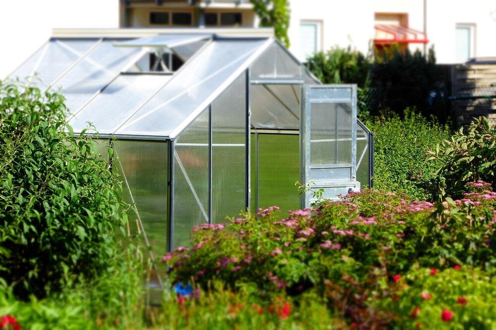greenhouse-827464.jpg