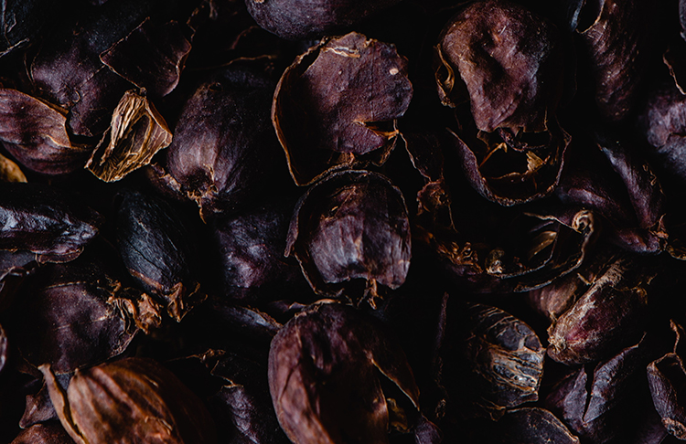 Cascara Nedir ve Kahve İle İlişkisi Nedir?