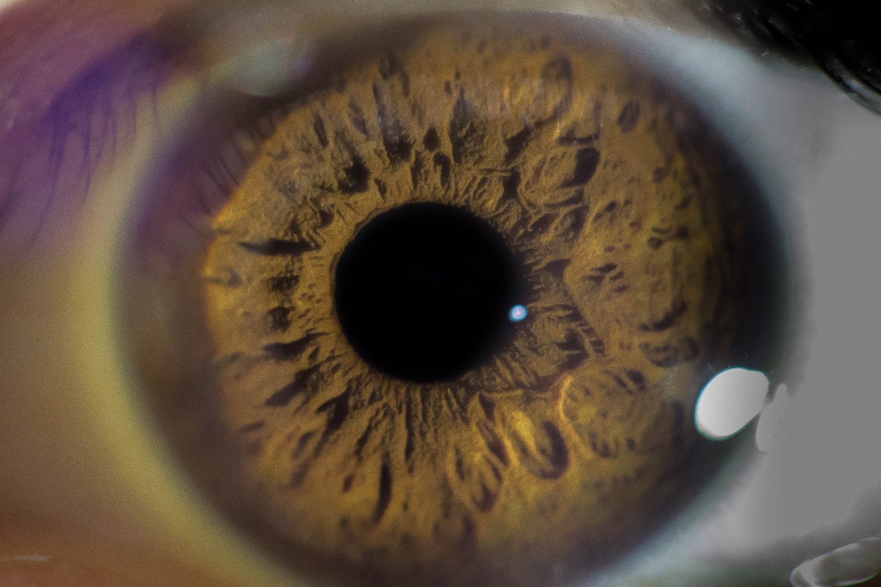 Gözlük mü yoksa Kontakt Lens mi Daha İyi? İşte Optometristlerin Düşünceleri