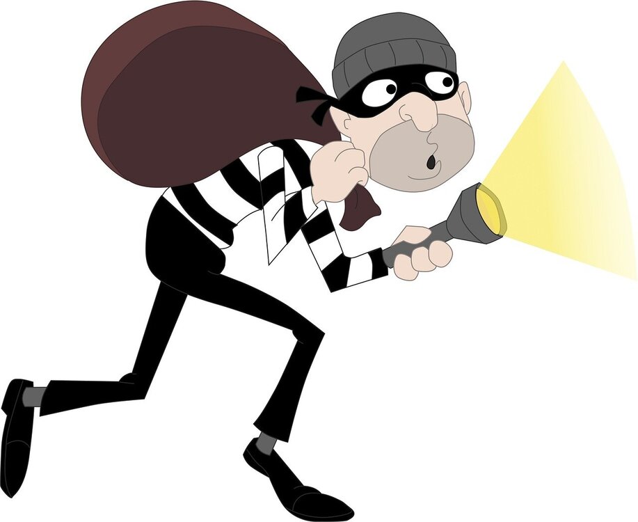 burglar-4925202.jpg