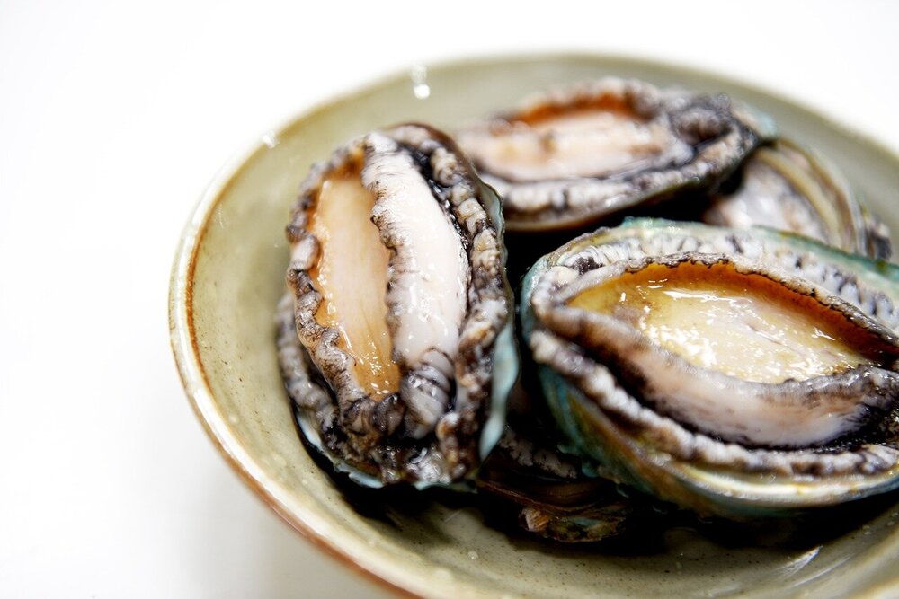 abalone-5246386.jpg
