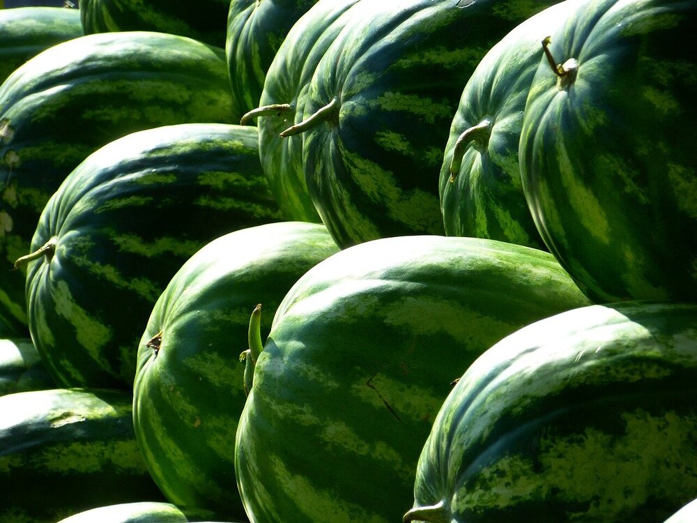 melons-197025.jpg