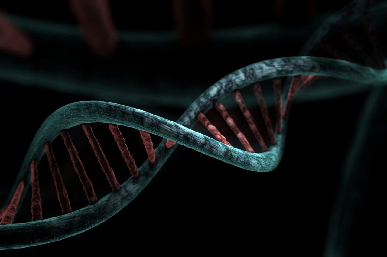 Atılım: Yapay DNA tasarımcı proteinlere kapı açıyor