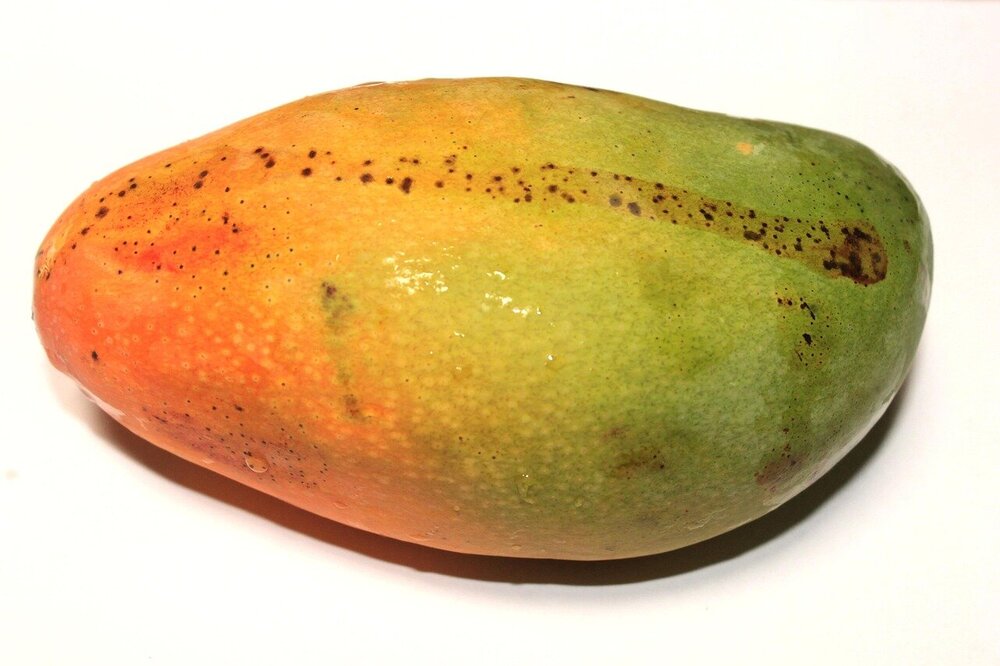 mango-896179.jpg