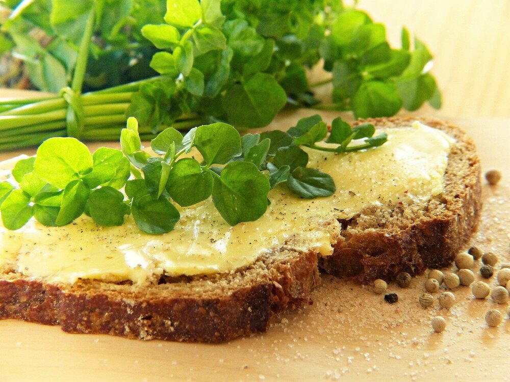 watercress-2148556.jpg