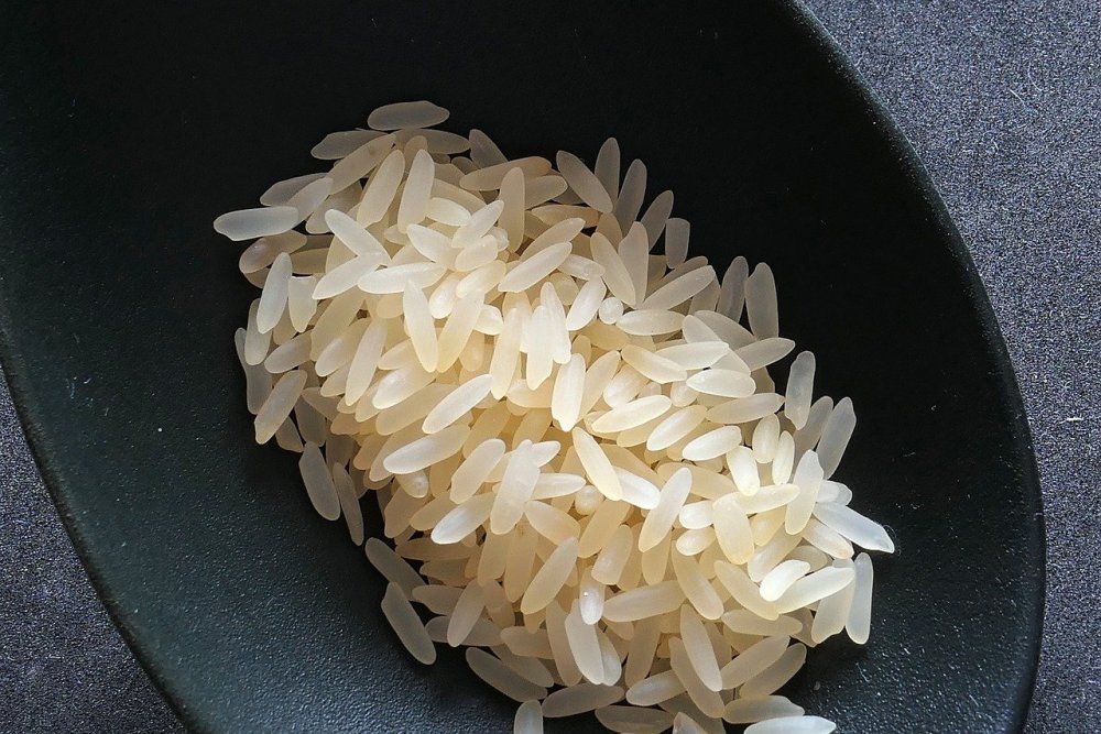 rice-2294365.jpg