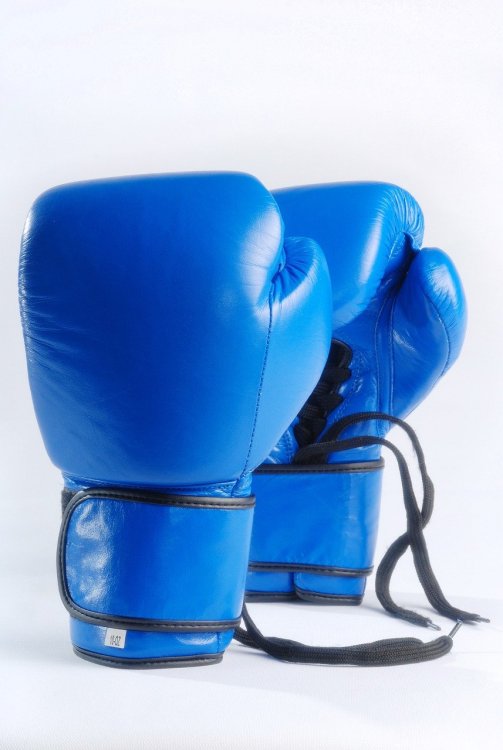 blue-boxing-gloves-1434861.jpg