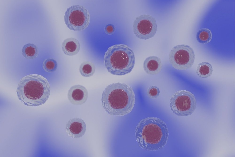 cells-5299714.jpg
