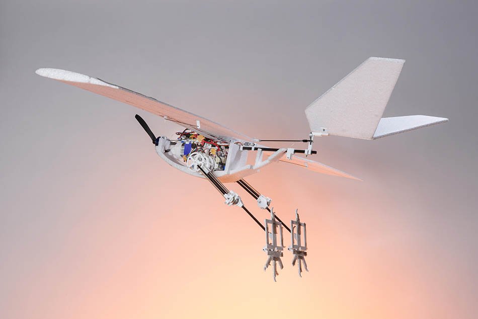Sevimli kuş benzeri robotun yürüyüşünü, düşüşünü ve uçuşa geçişini izleyin; bu, dronların uçuş şeklini sonsuza dek değiştirebilir