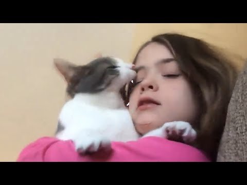 "Sahibini Dinlemeyen Kedi - Bakın Ne Yapıyor" Hakkında diğer bilgiler