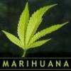 _MaRiHuAnA_