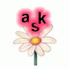 askmiracle-